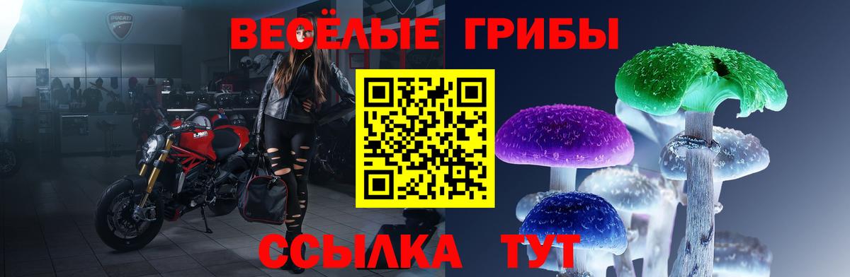 Биробиджан  купить  цена  Псилоцибиновые грибы мухоморы  Вход с VPN  Галлюциногенные грибы GOLDEN TEACHER 